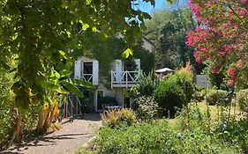 Chambre bananier: maison arborée face à la rivière